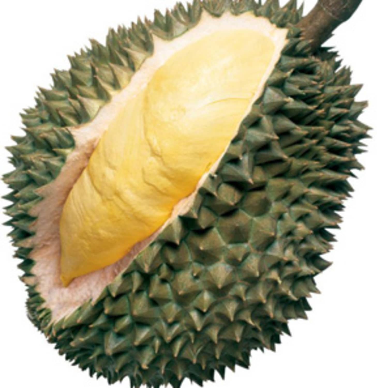 Where To Buy Fresh Durian | Kitchn