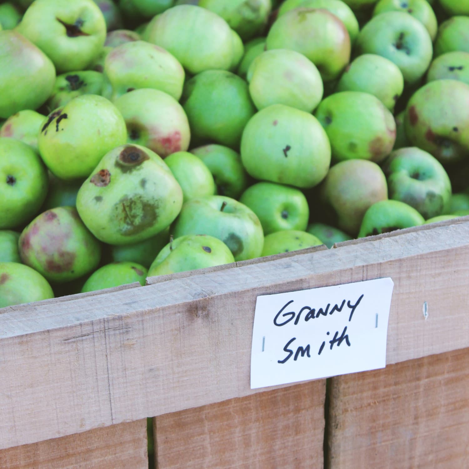 Small Granny Smith Apple - Each, Small/ 1 Count - Ralphs