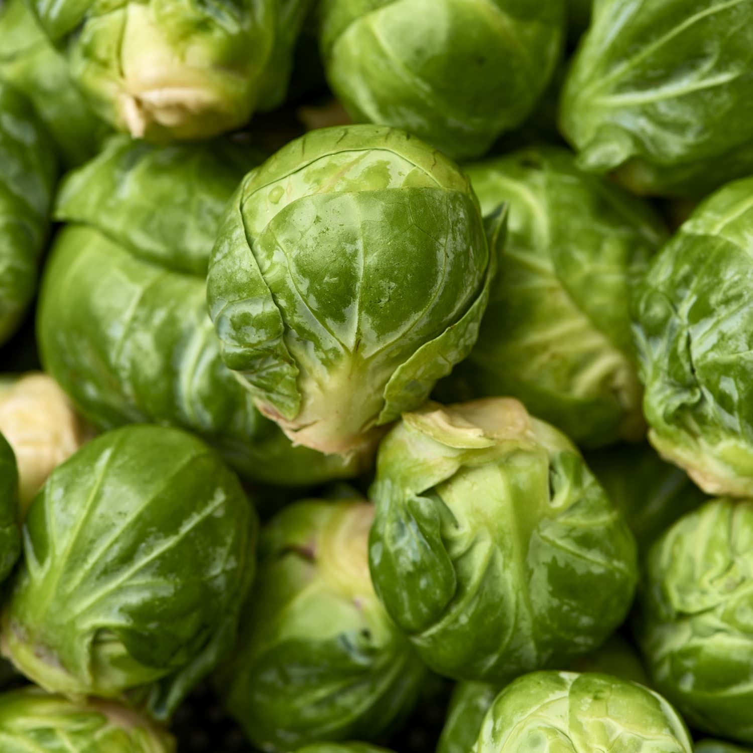 How To Prep Store Brussels Sprouts Kitchn