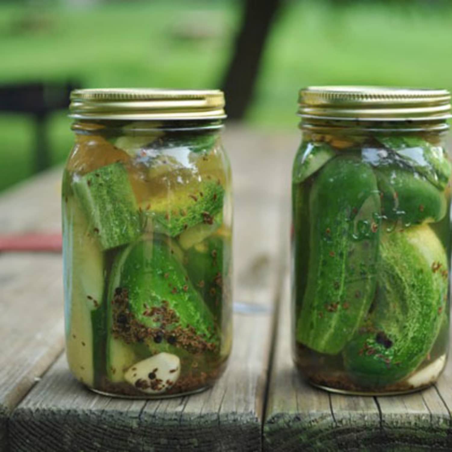 Small Batch Recipe Garlic Dill Refrigerator Pickles Kitchn