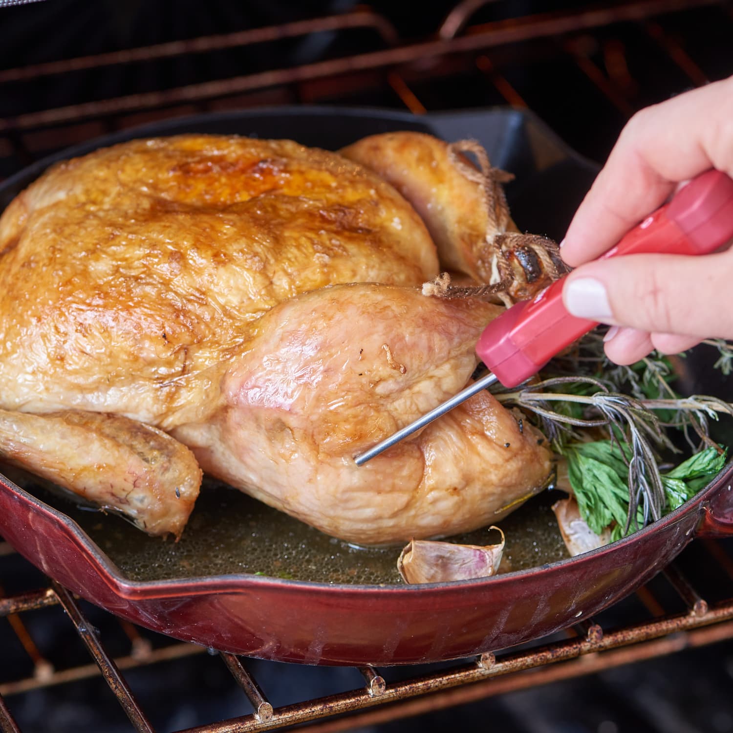 What Size Roast Chicken To Buy Kitchn Kitchn