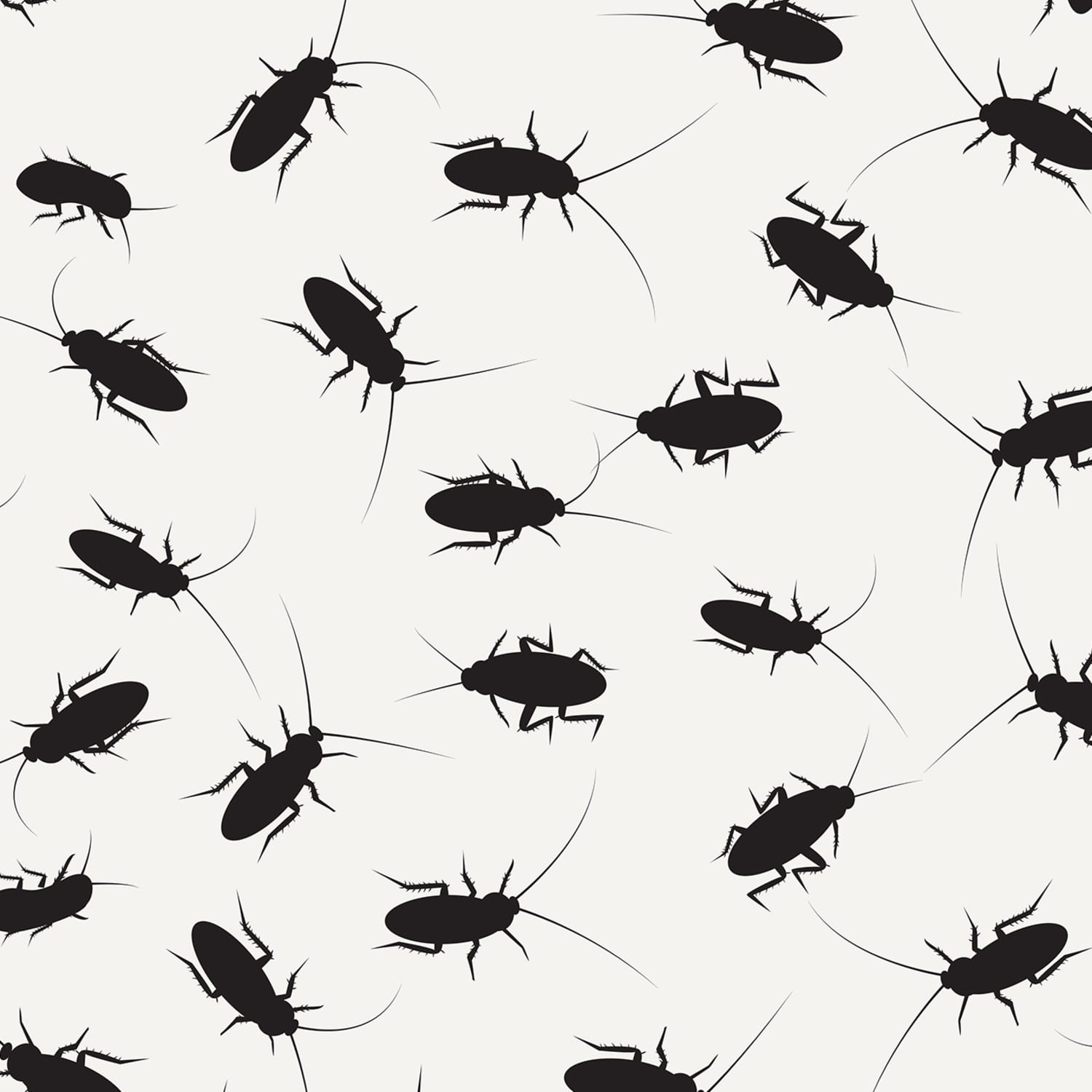 3 Non Toxic Tips For Ridding Your Home Of Roaches Apartment Therapy