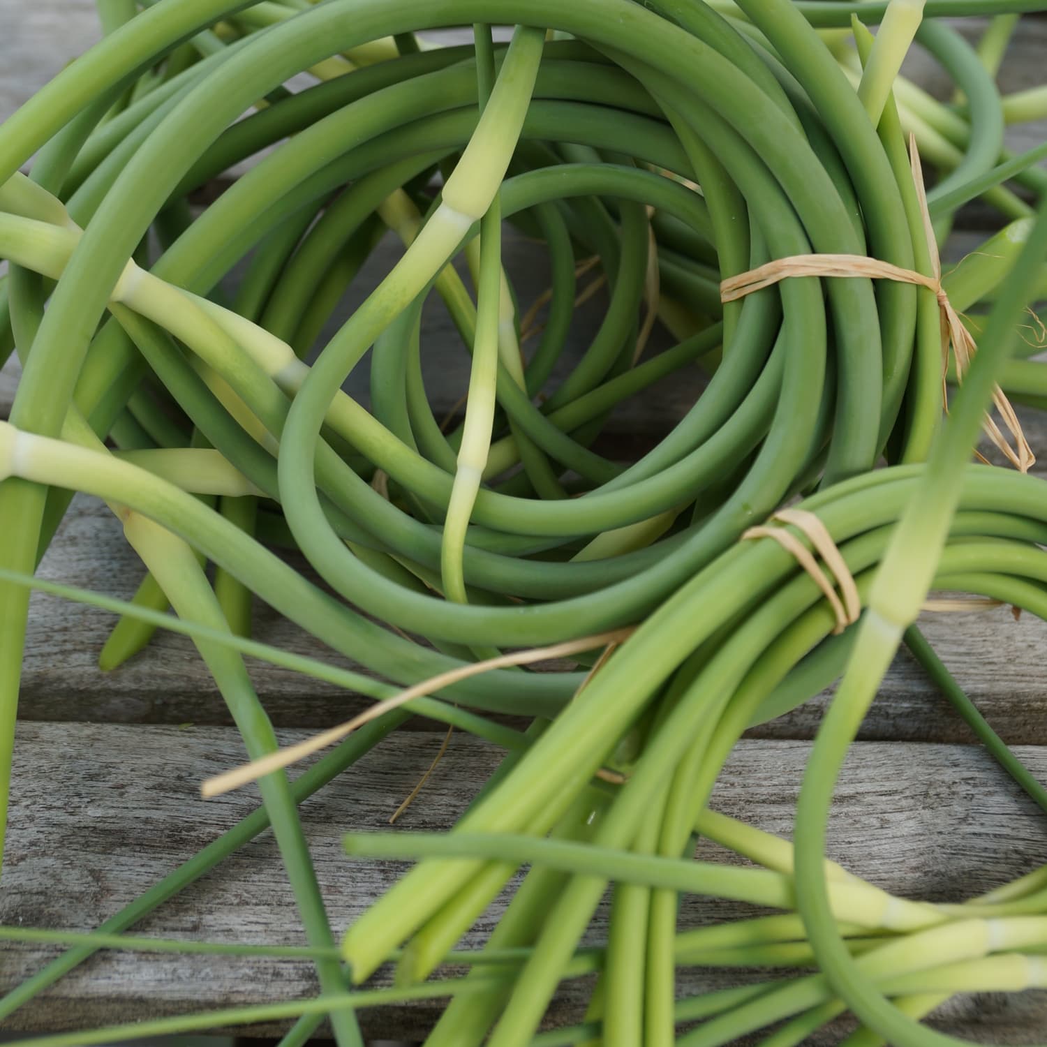 What S The Difference Green Garlic And Garlic Scapes Kitchn