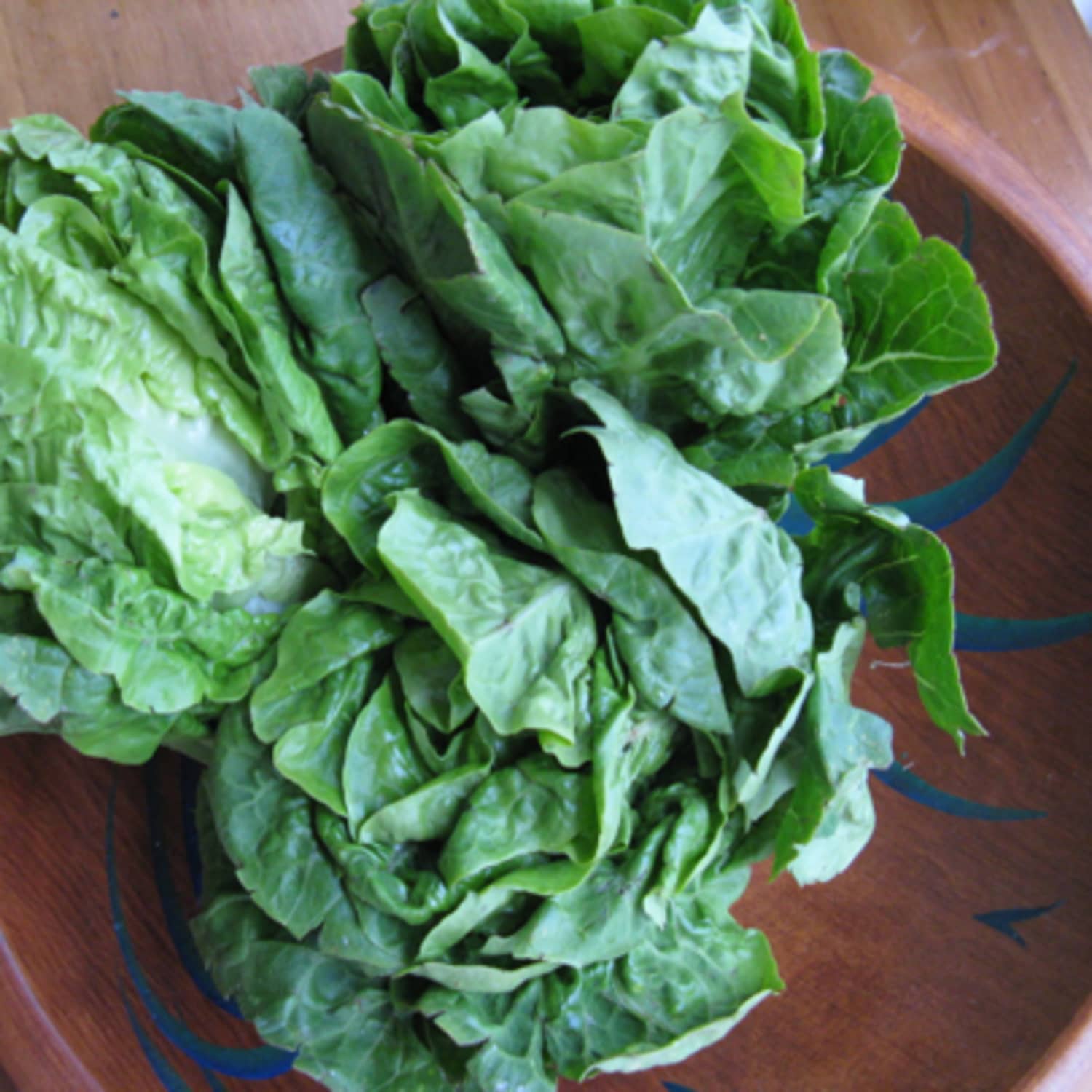 Good Eats Little Gems Lettuce Kitchn