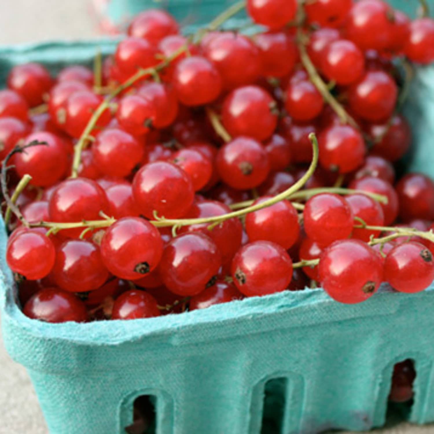Unloved Berries Give Currants A Chance Kitchn