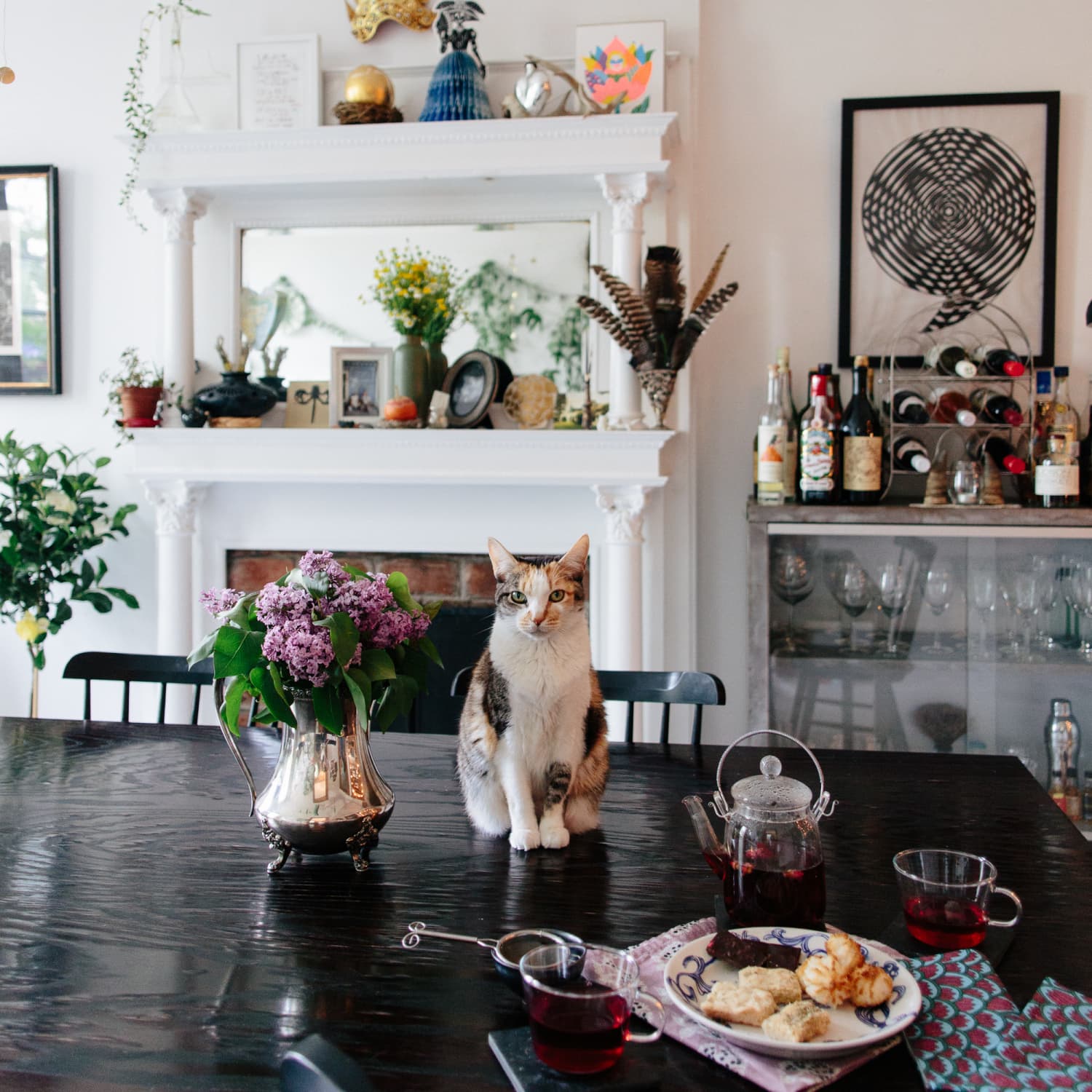 11 Things Every New Cat Owner Should Know Kitchn