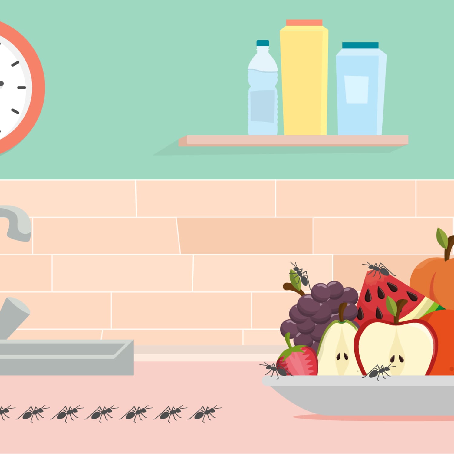 5 Things To Know About Ants In The Kitchen Kitchn