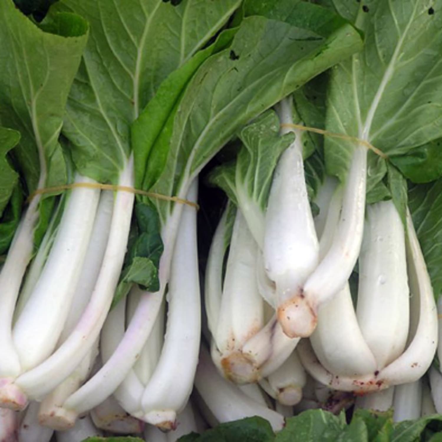 Five Ways To Eat Bok Choy Kitchn