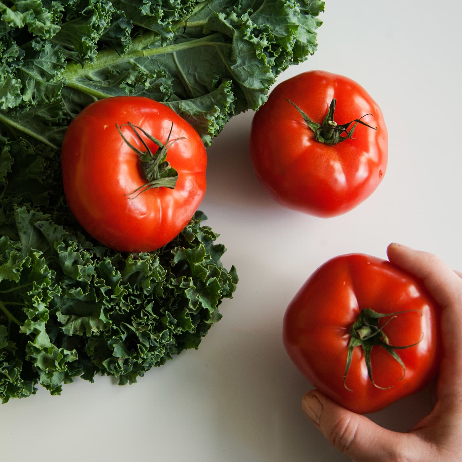 Here's What 1 Pound of Tomatoes Looks Like