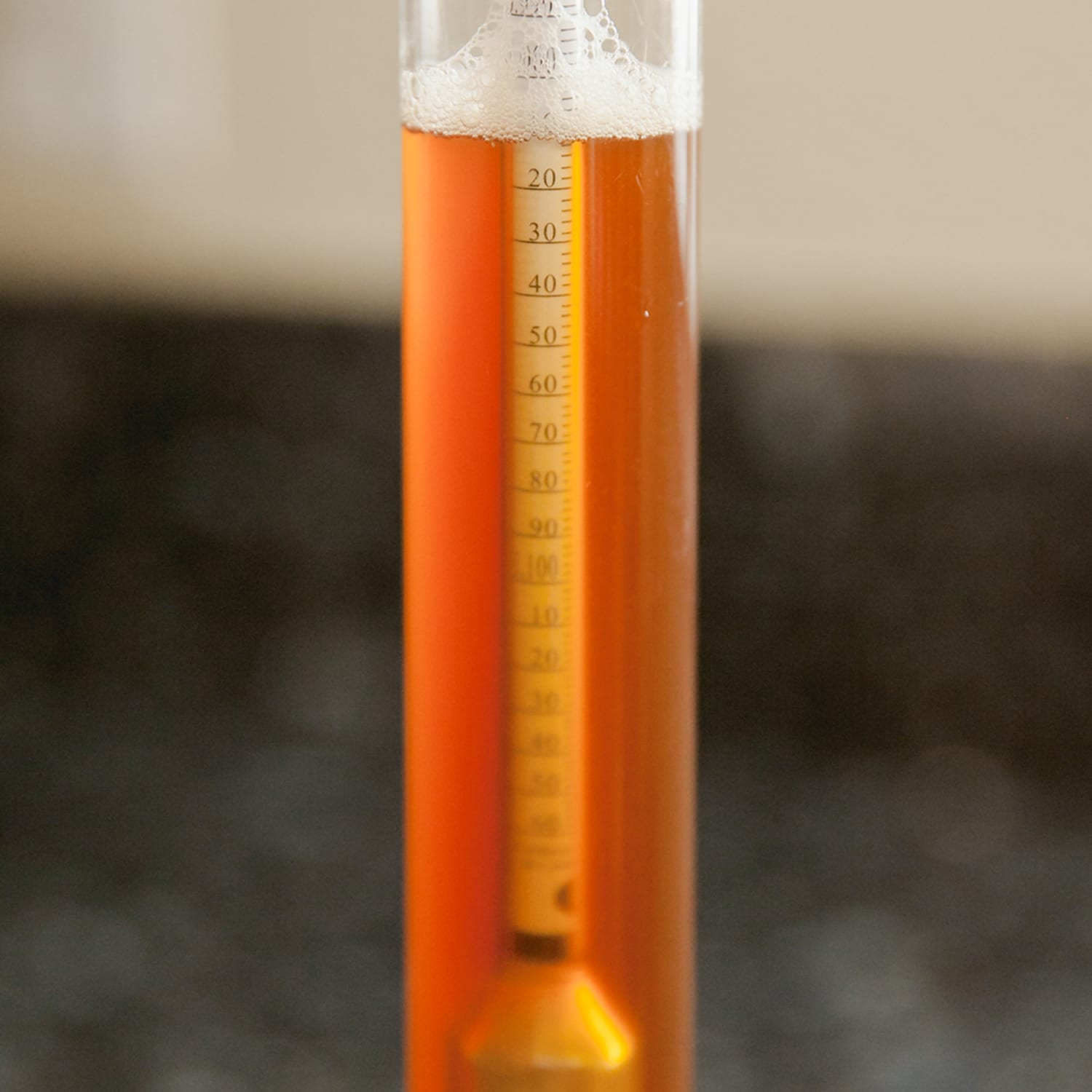 How To Check How Much Alcohol Is In Your Homebrew Kitchn
