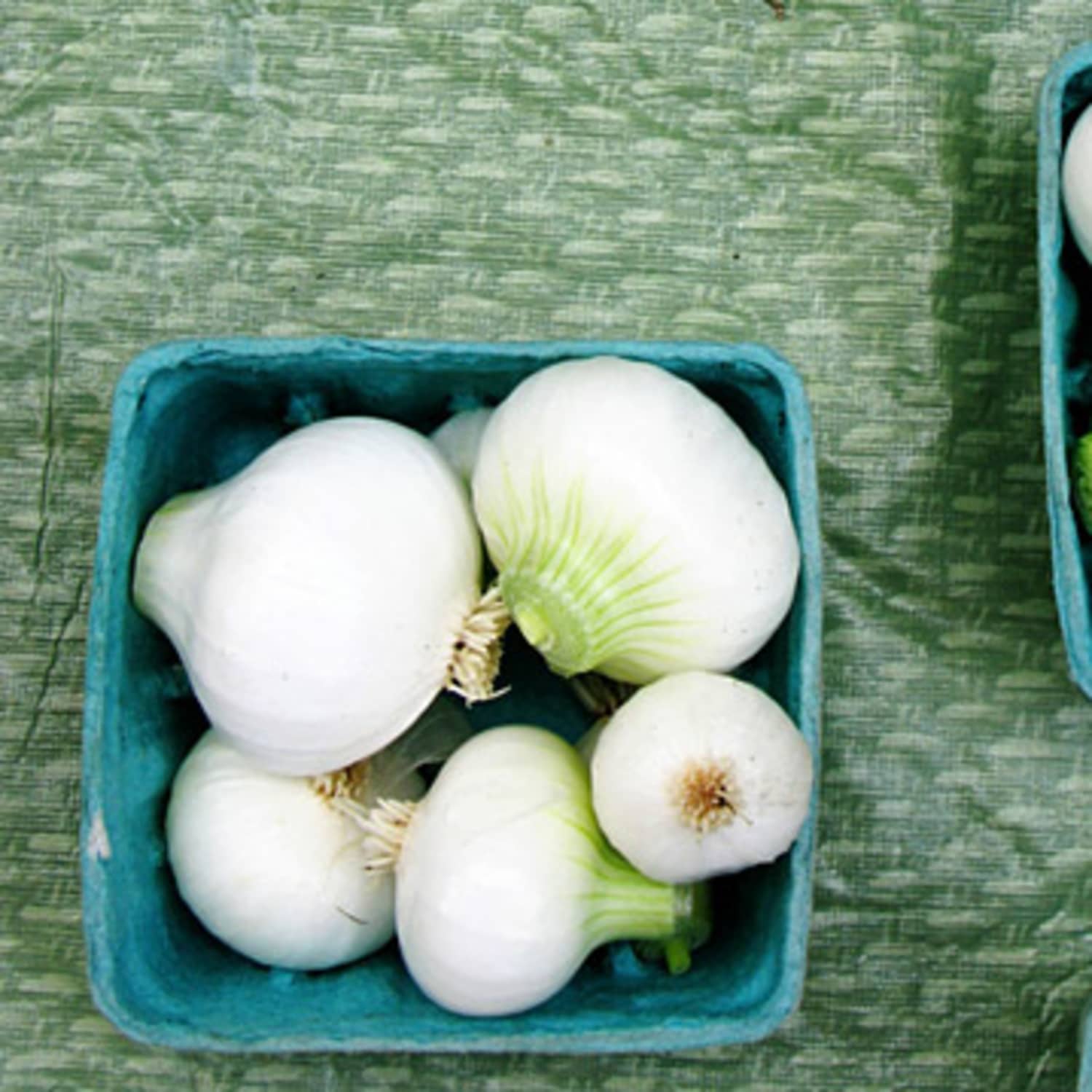 What S The Difference Yellow White And Red Onions Kitchn