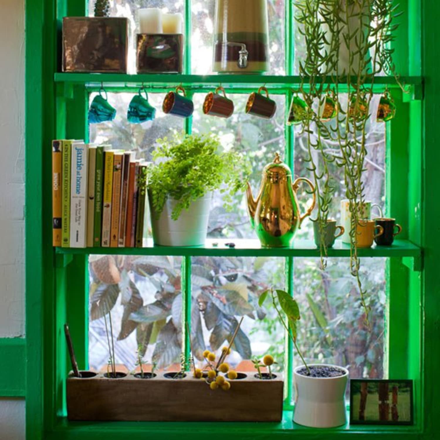 6 Sun-Filled Kitchens with Greenhouse Windows | Kitchn