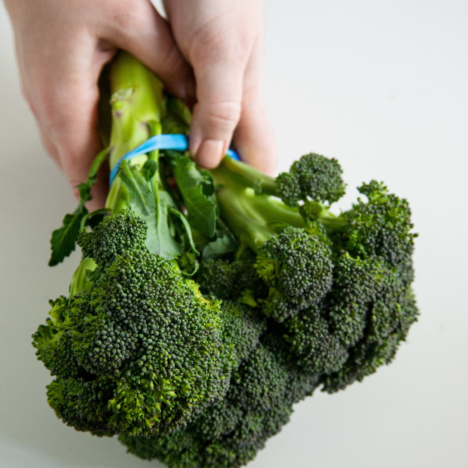 Here S What 1 Pound Of Broccoli Looks Like Kitchn How many us cups of vegetable oil in 1 pound? here s what 1 pound of broccoli looks