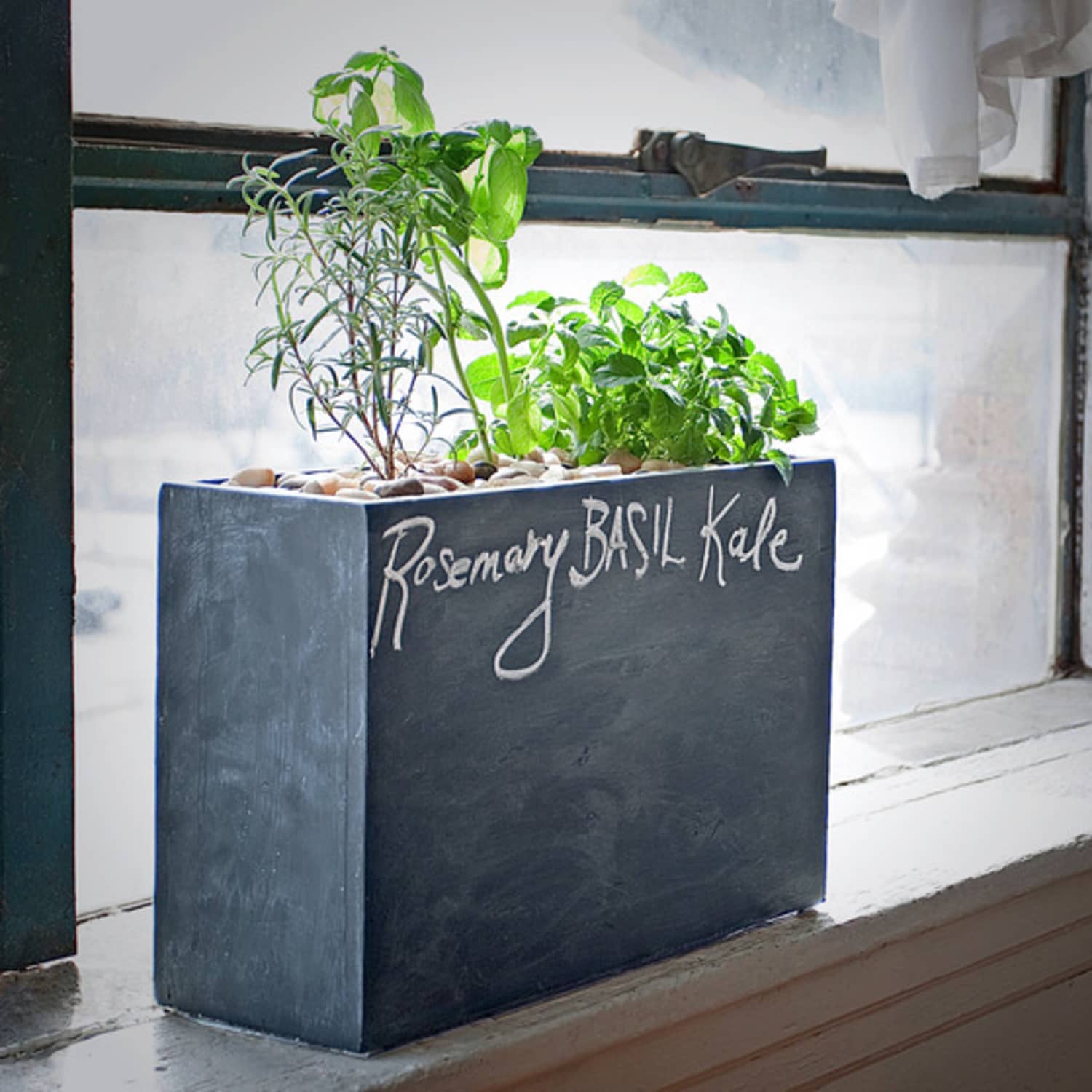An Easy Way To Grow Indoor Herbs Modern Sprout S Hydroponic