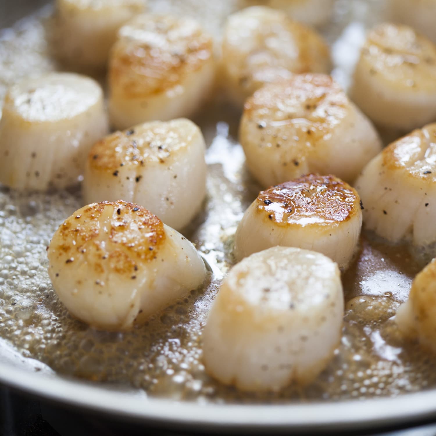 Crispy Gordon Ramsay Pan-Fried Scallops Recipe, Recipe