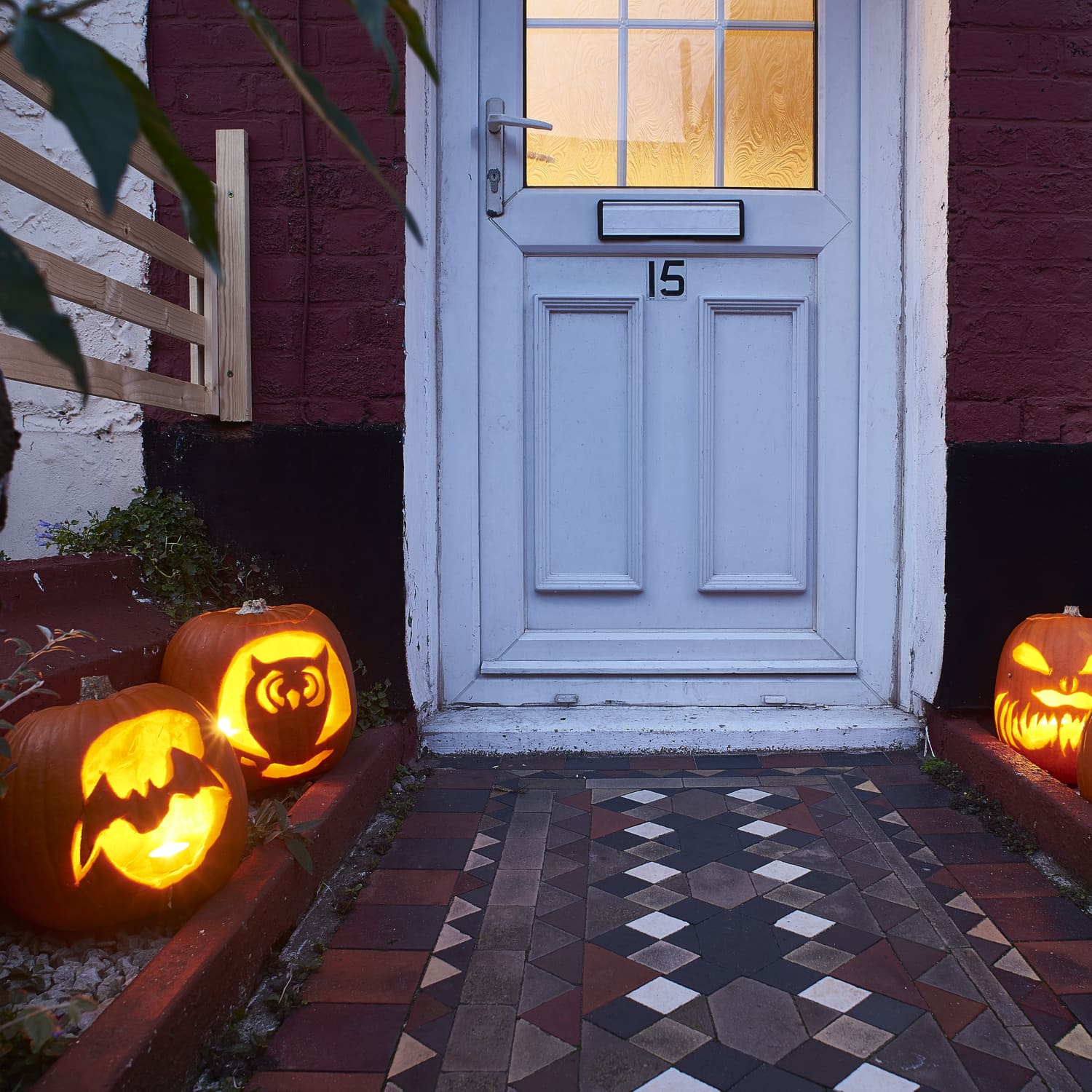 Keep Squirrels From Eating Pumpkins Kitchn