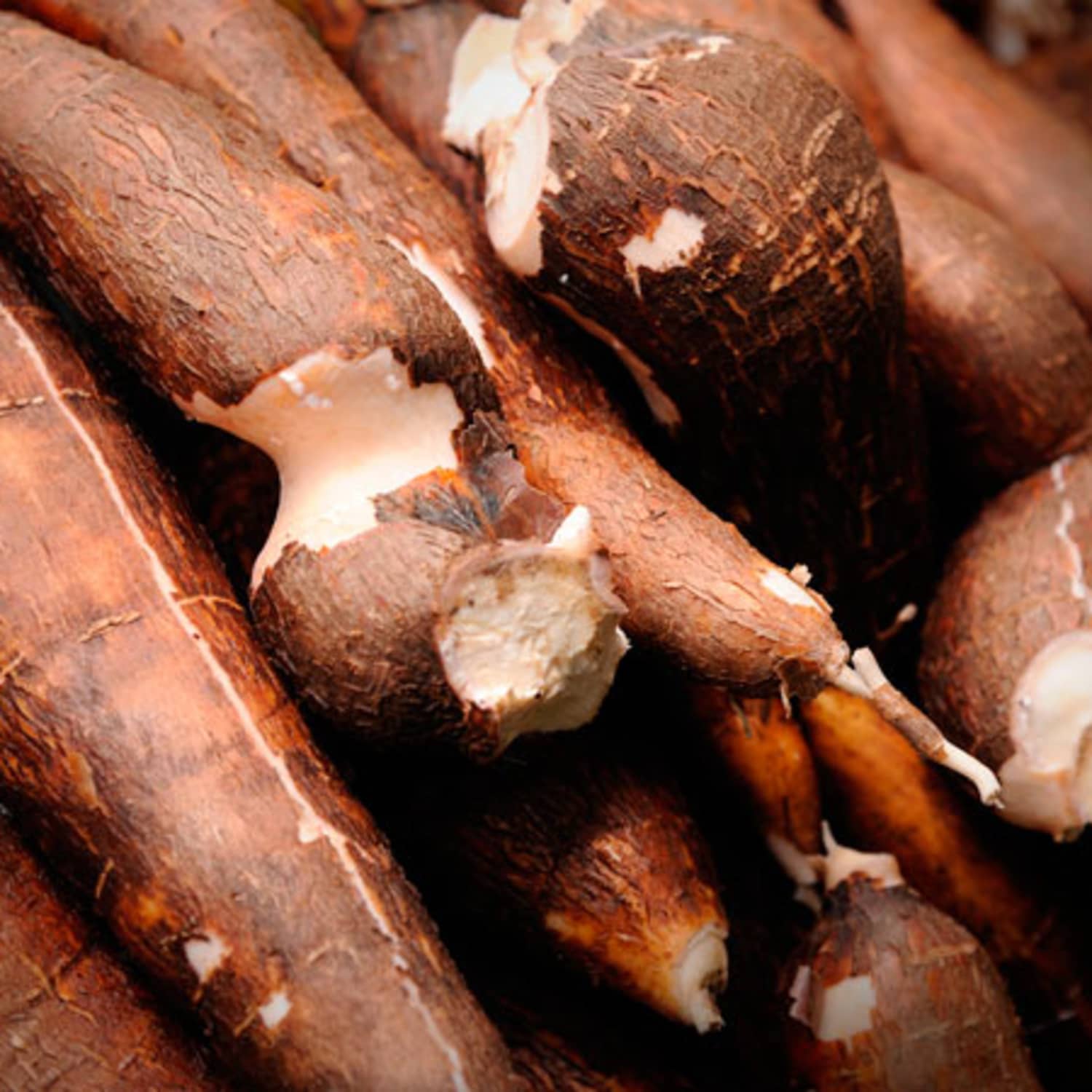 What S The Difference Between Yuca And Yucca Kitchn