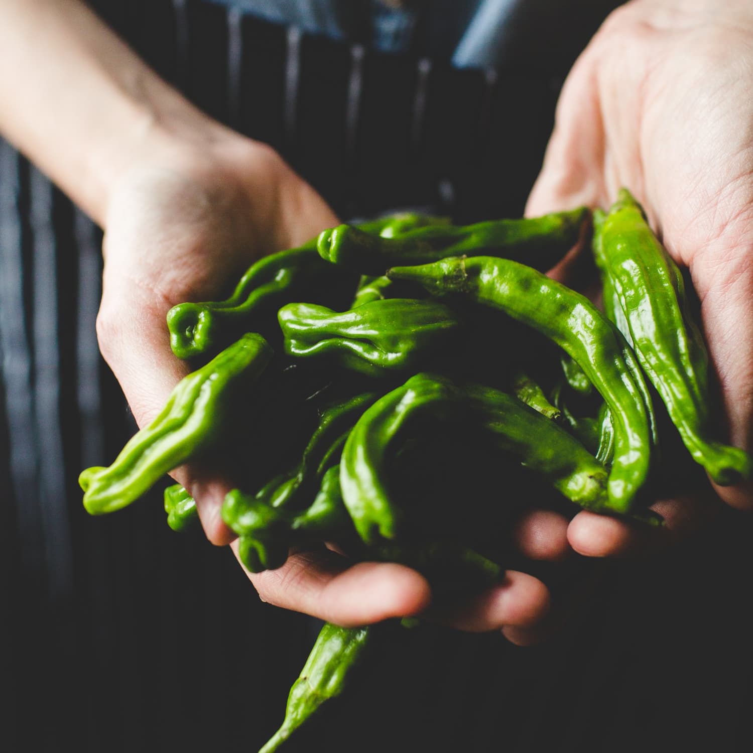 Your Cast Iron Pan Is Begging For Shishito Peppers Kitchn