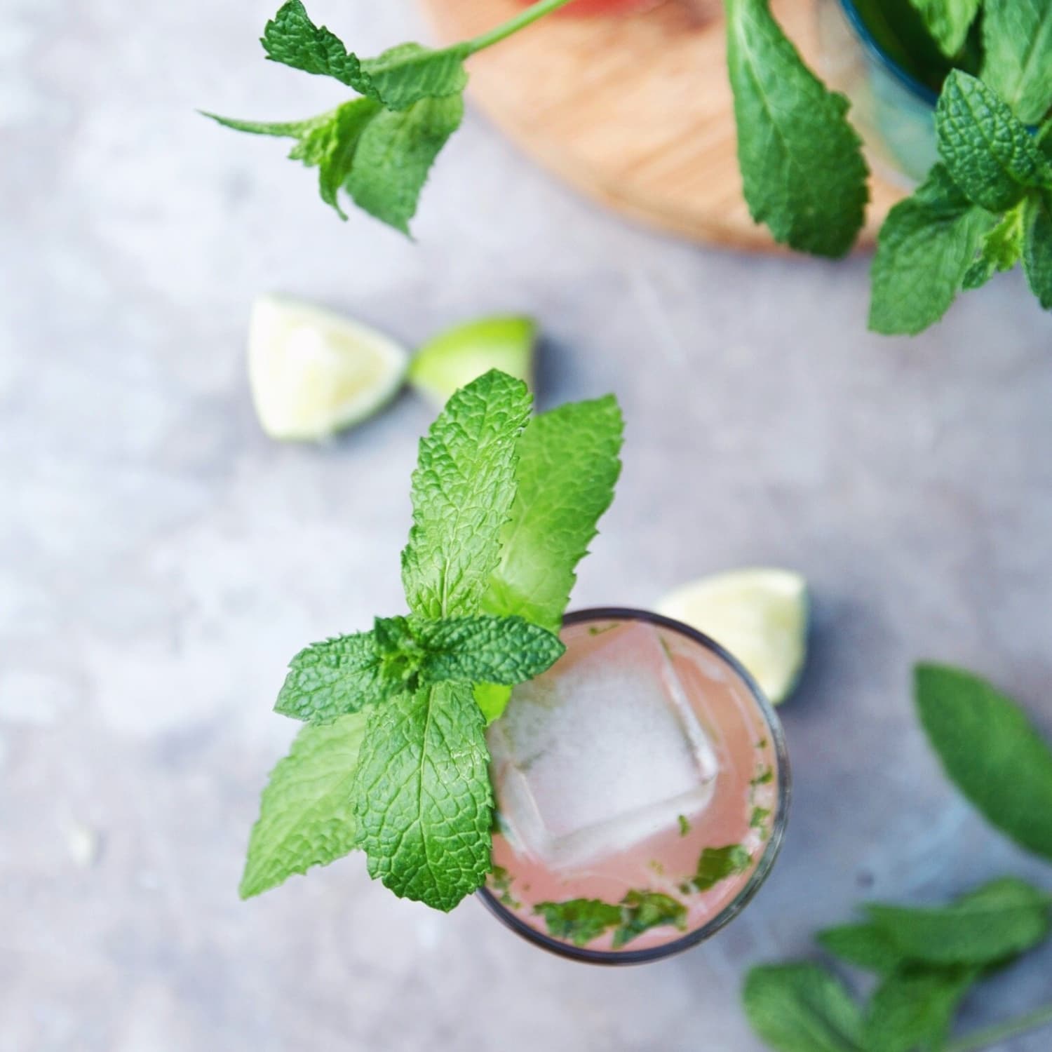 Everything You Need To Know About Growing Mint Kitchn