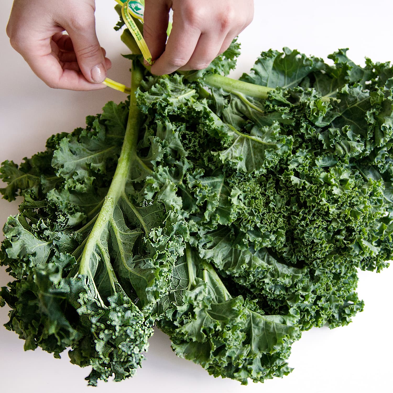 Here S What 1 Pound Of Kale Looks Like Kitchn