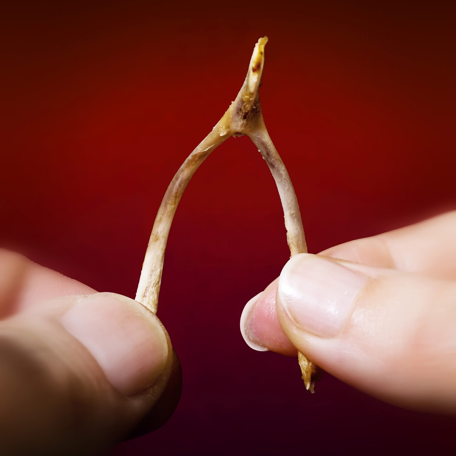 What's a Wishbone, and Why Do We Crack It? | Kitchn