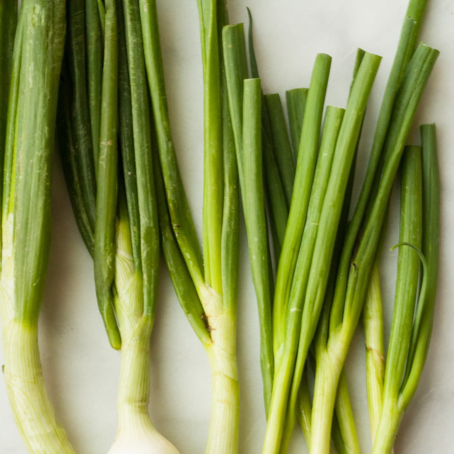 The difference between shallots, green onions, scallions and spring onions