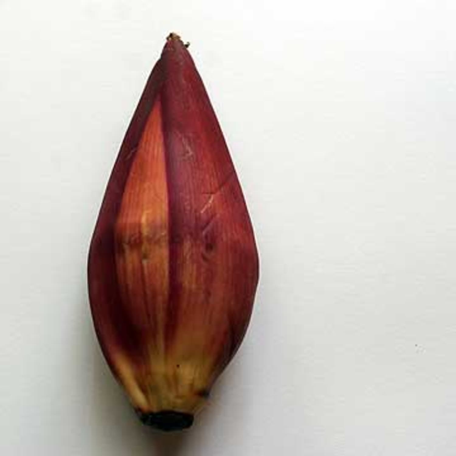 Ingredient Spotlight Banana Blossom Kitchn