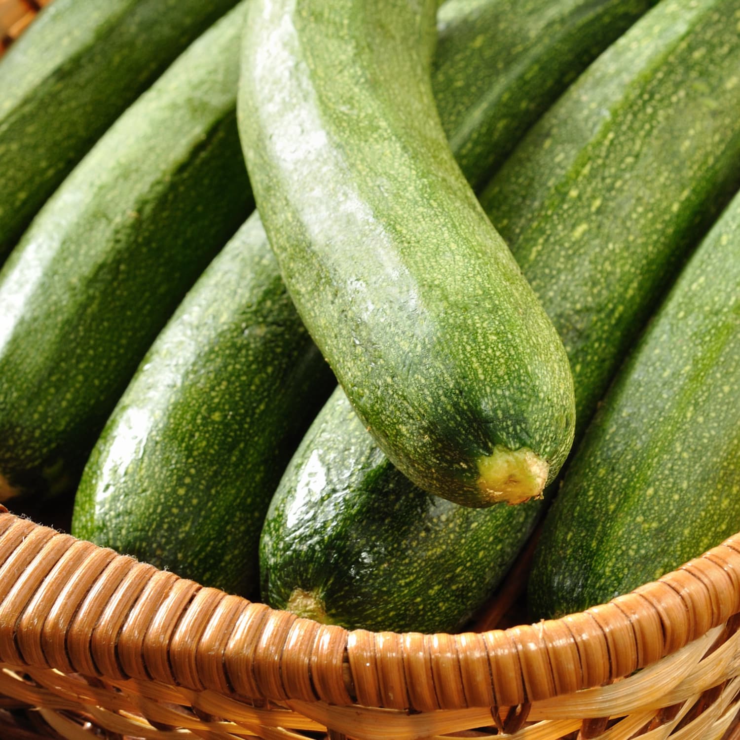 Why Zucchini Plants Are So Prolific Kitchn