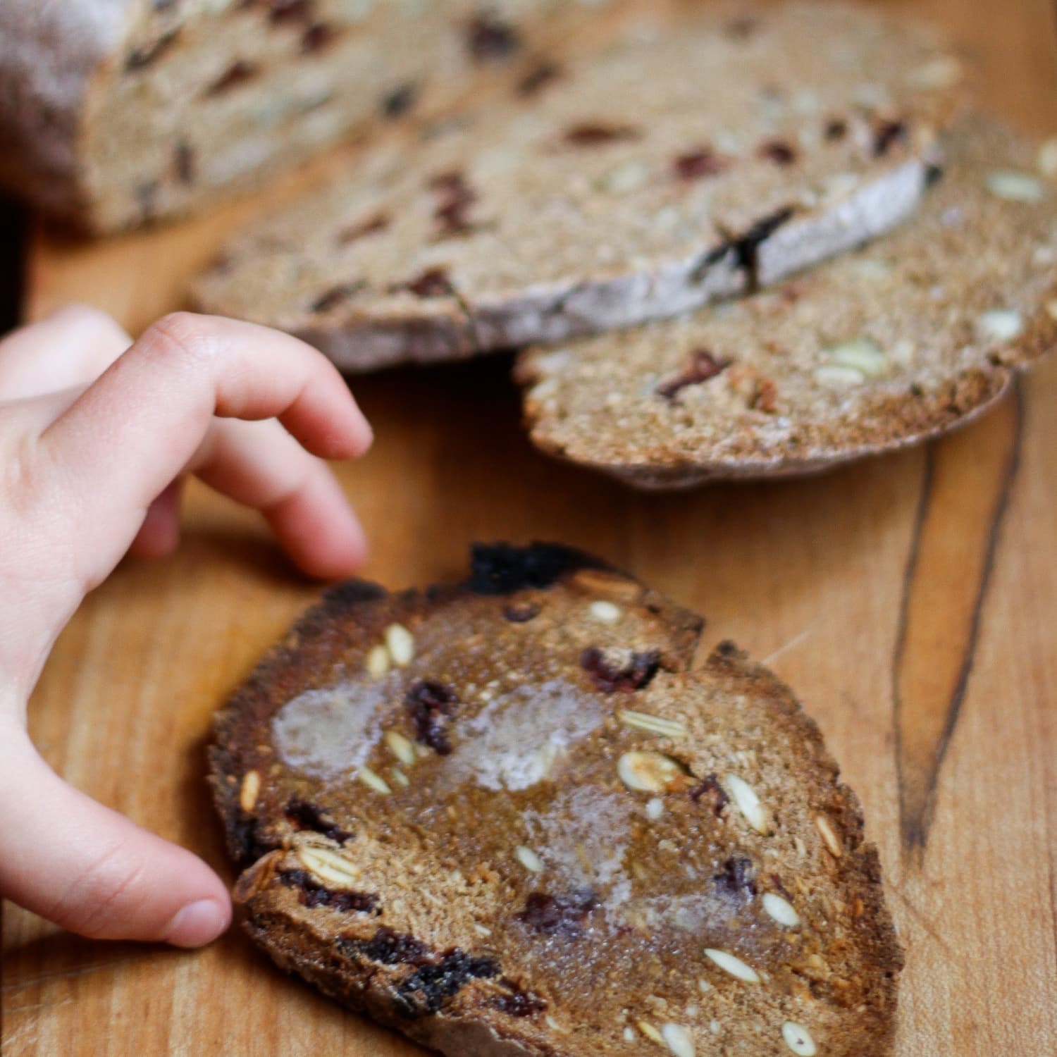 Seed Crusted Sourdough Bread with Dried Cherries