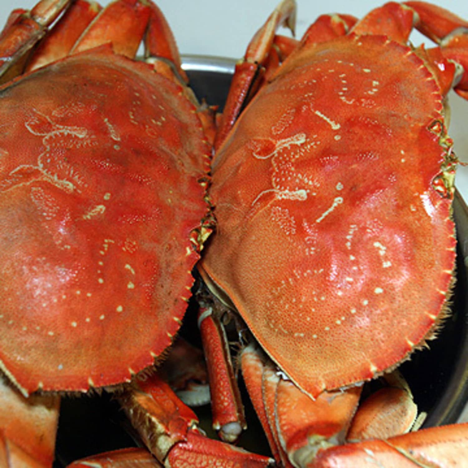 How To Cook And Clean Dungeness Crab Kitchn