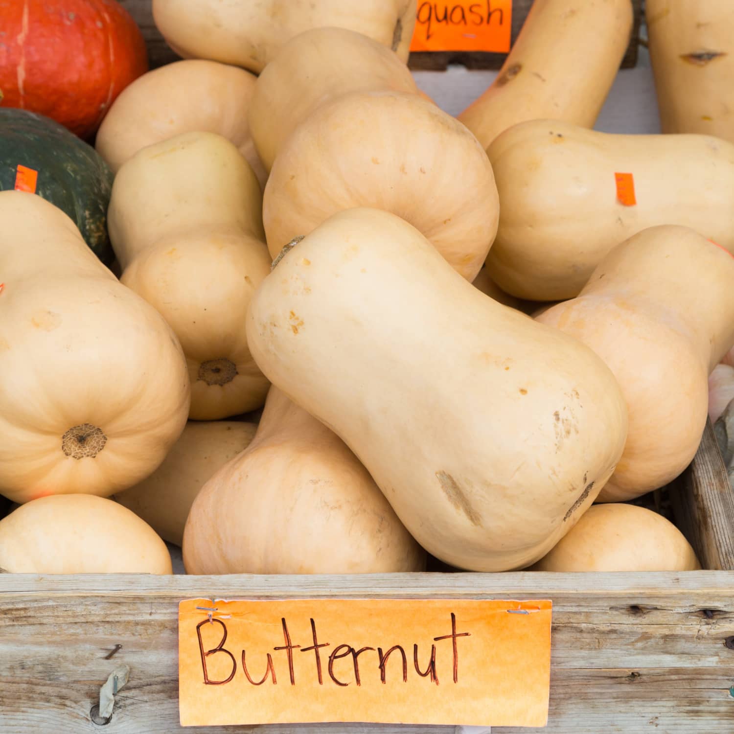 How To Tell When Butternut Squash Is Ripe