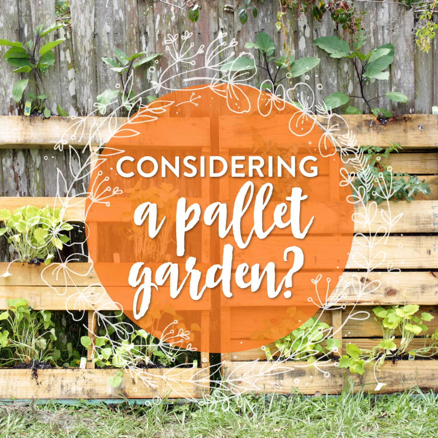 What You Should Know About Pallet Gardening Kitchn
