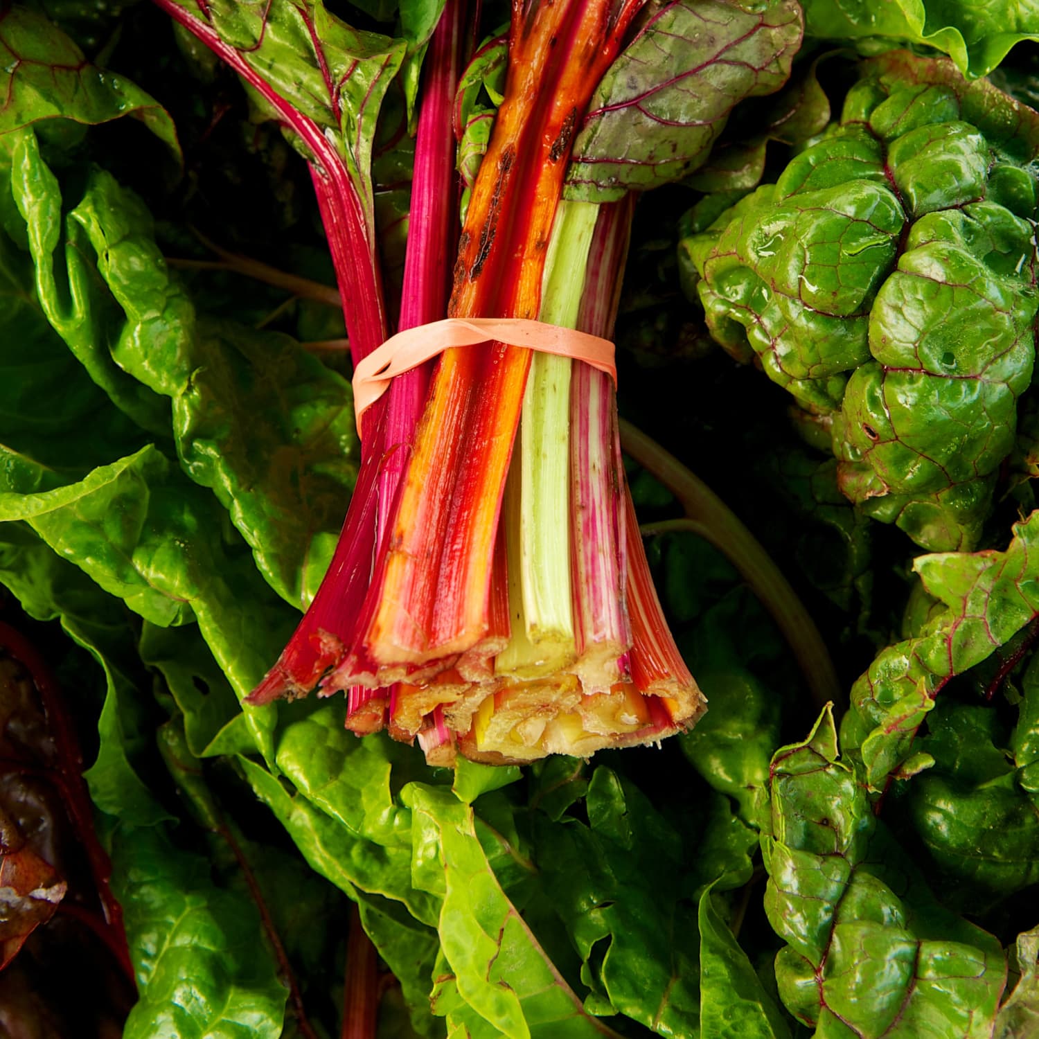 Kale Thinks It S A Big Deal Let S Eat Swiss Chard Instead Kitchn