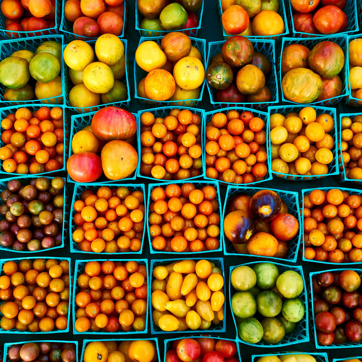 Farmers Markets and CSAs During Coronavirus Pandemic | Kitchn