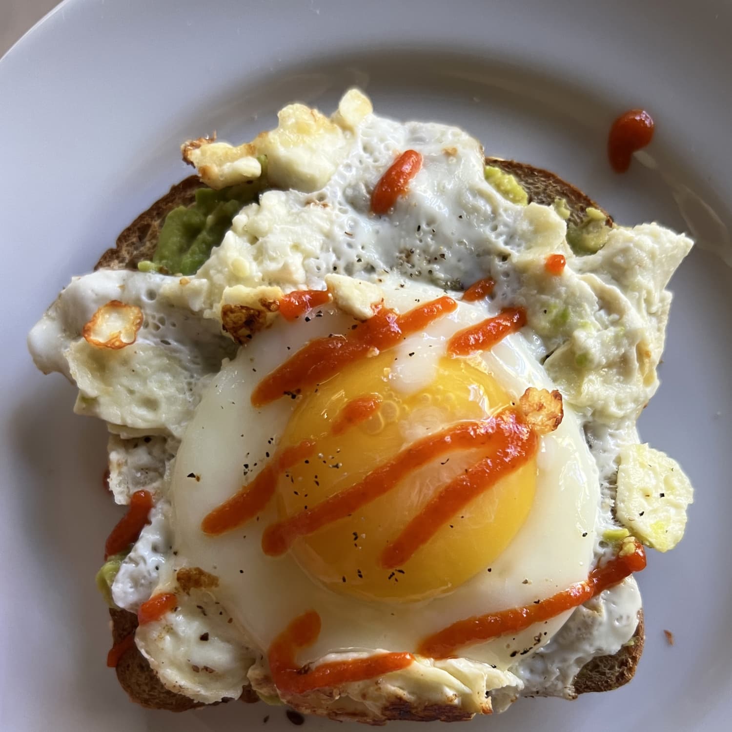 This Multi-Purpose Toaster Also Cooks Beans and Eggs For a Quick and Easy  Breakfast