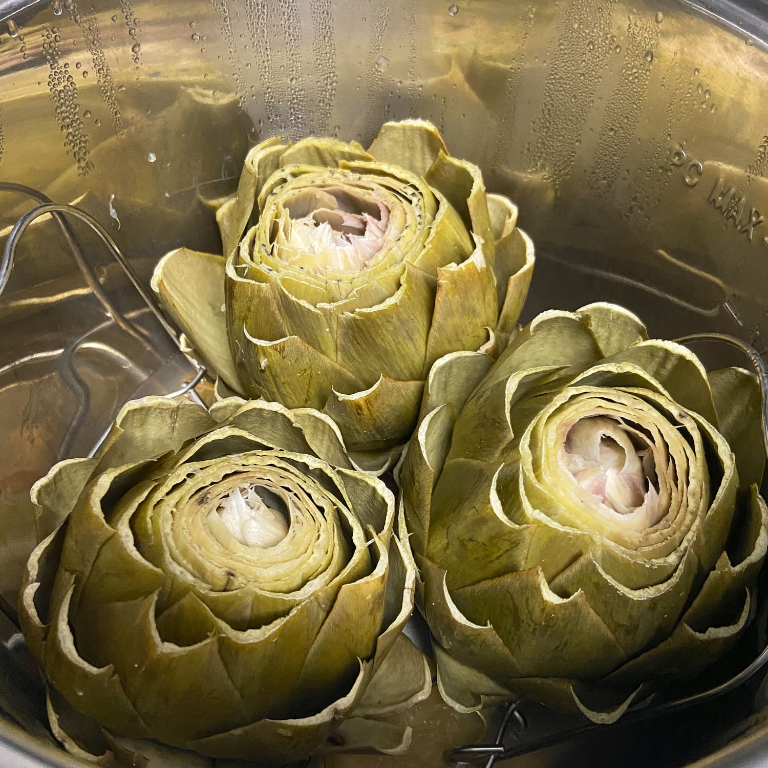 Pressure shop cooker artichokes