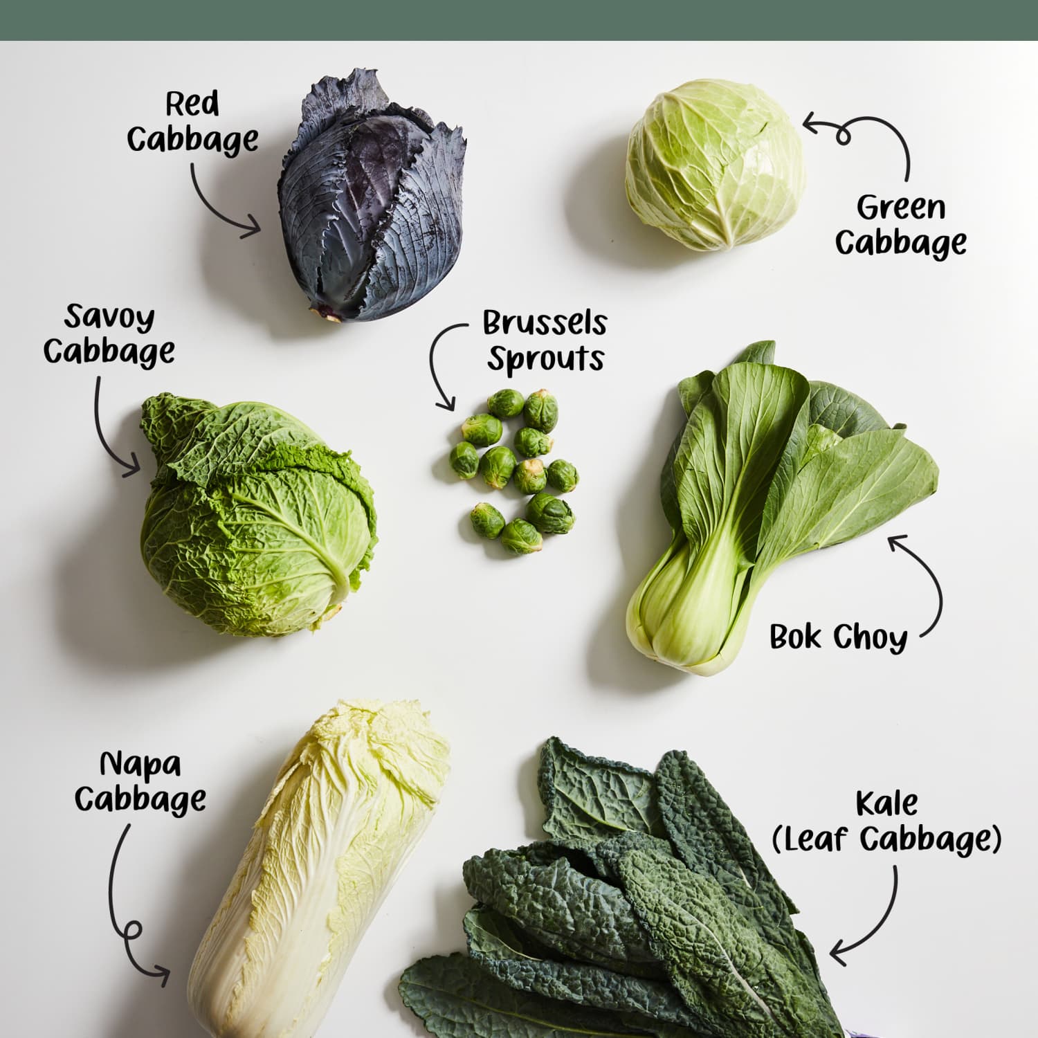 Is raw cabbage sale good for dogs