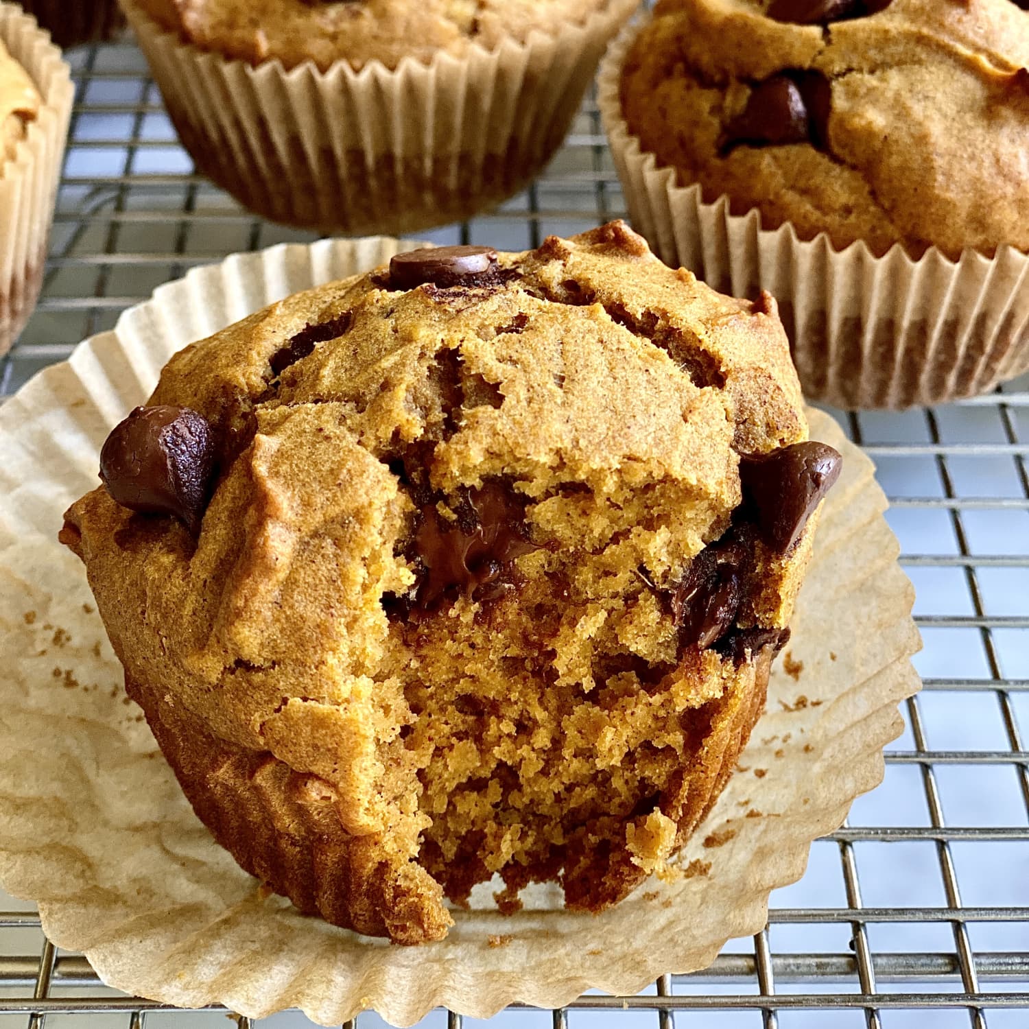 Pumpkin chocolate sale chip muffins