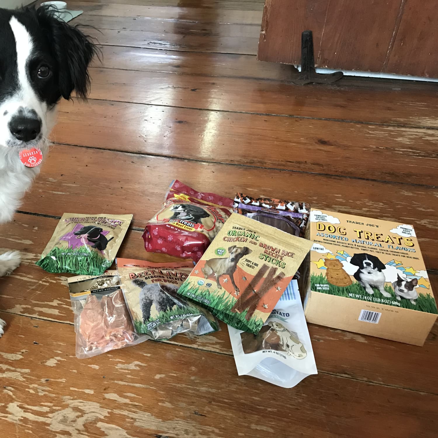Trader Joes Best Dog Treats Beef Liver Review The Kitchn