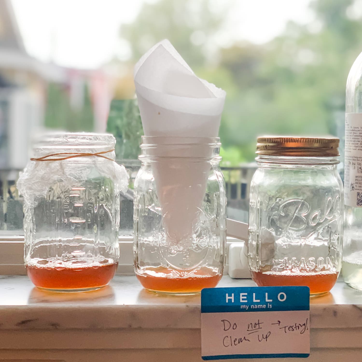 How to rid of sales fruit flies