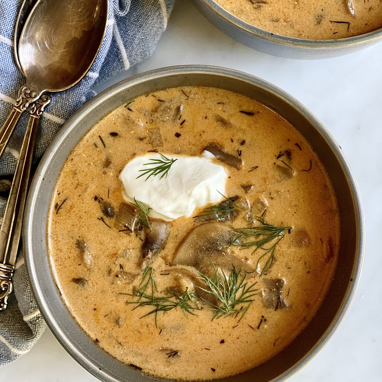 Hungarian mushroom soup hot sale recipe
