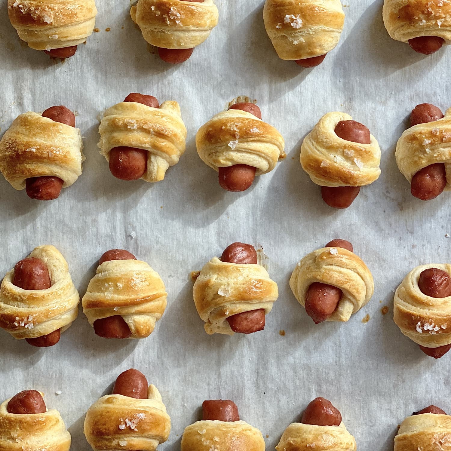 Pictures of pigs shop in a blanket
