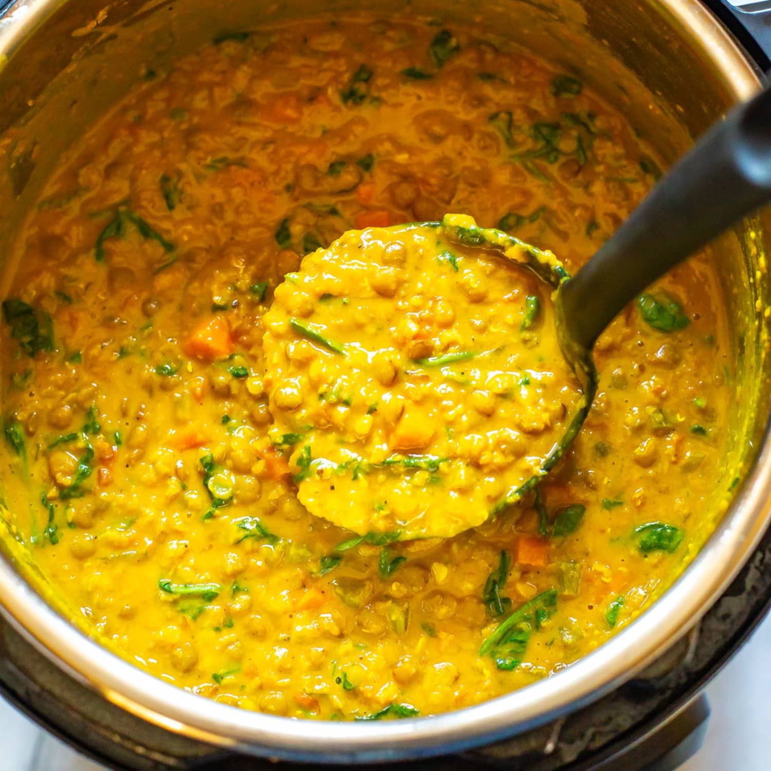 Best instant pot lentil soup new arrivals