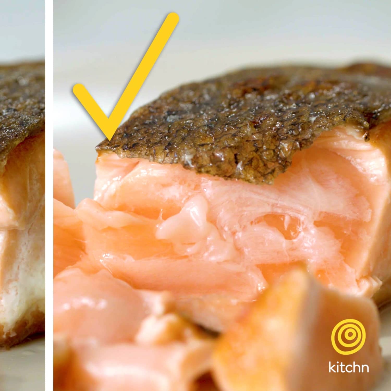 Is cooked salmon bad for dogs sale