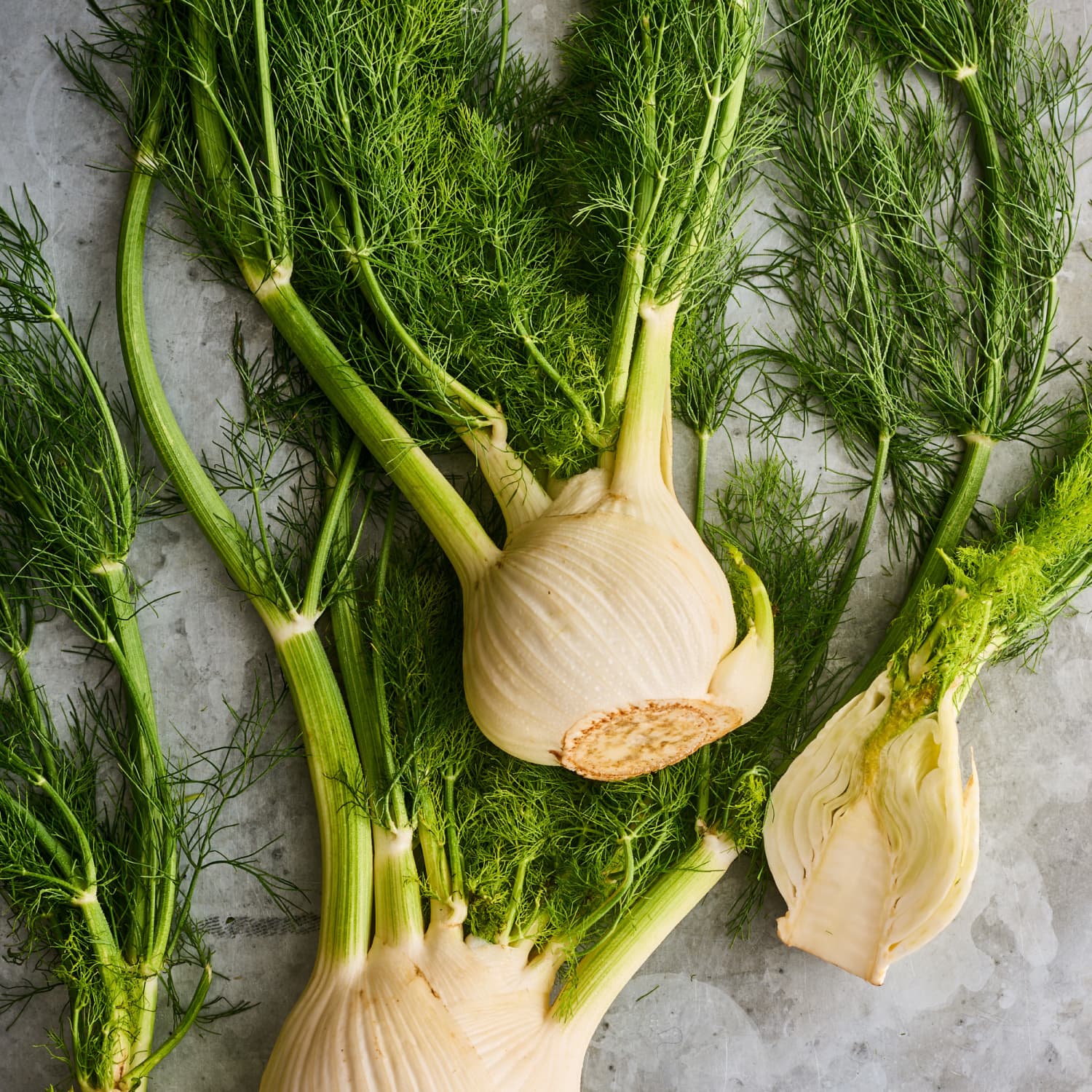 how to prepare fennel bulb