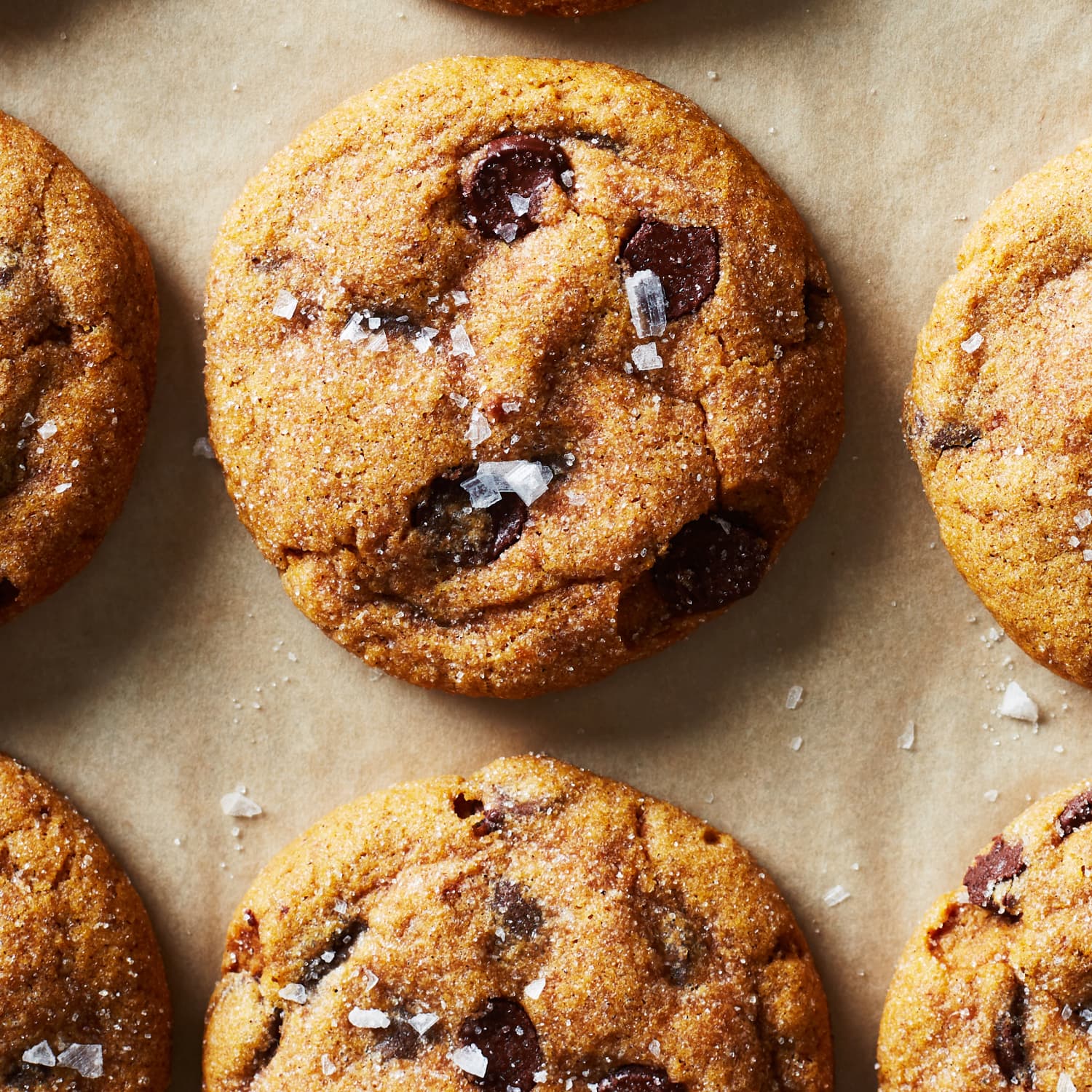 Pumpkin chocolate shop chip cookies