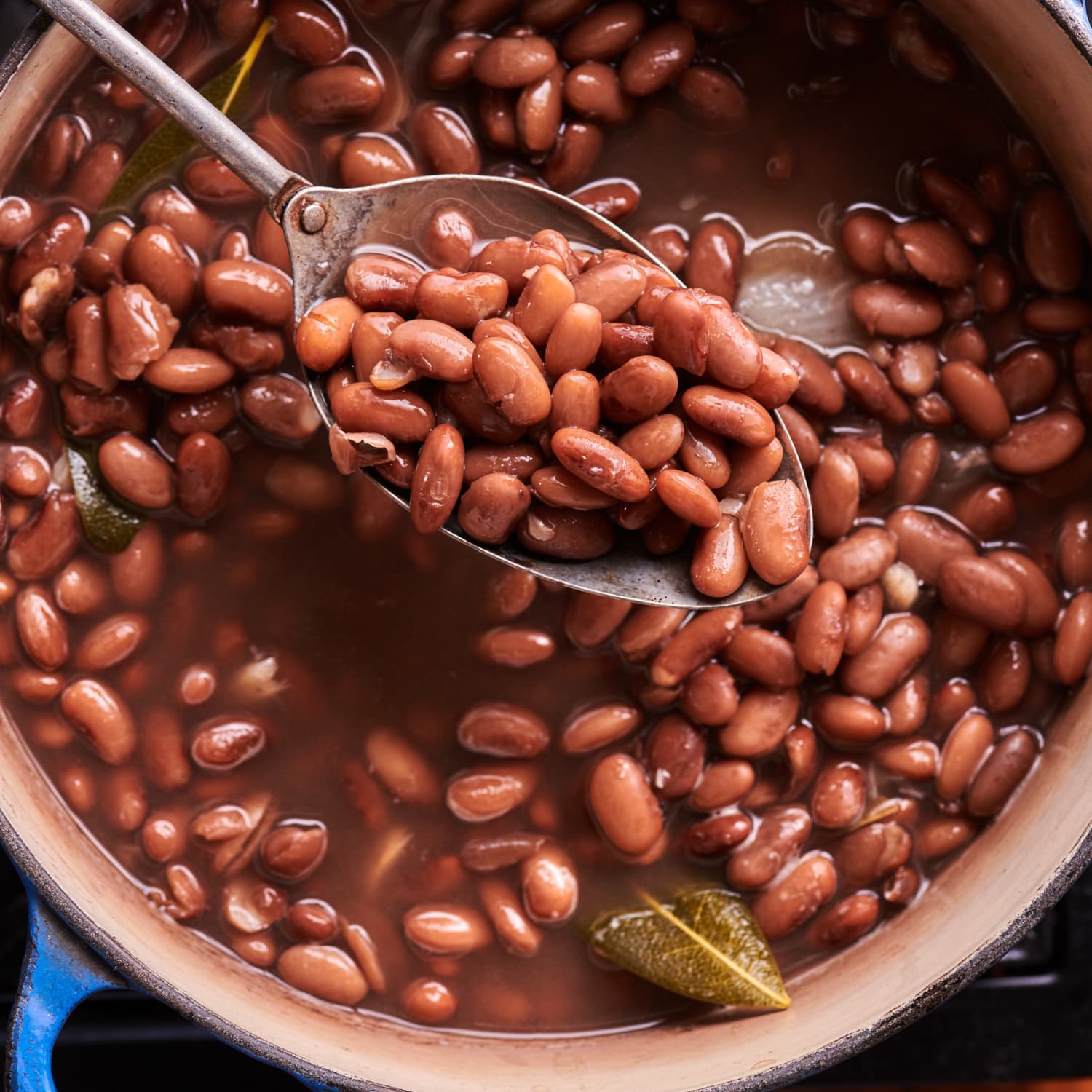 Pinto beans outlet