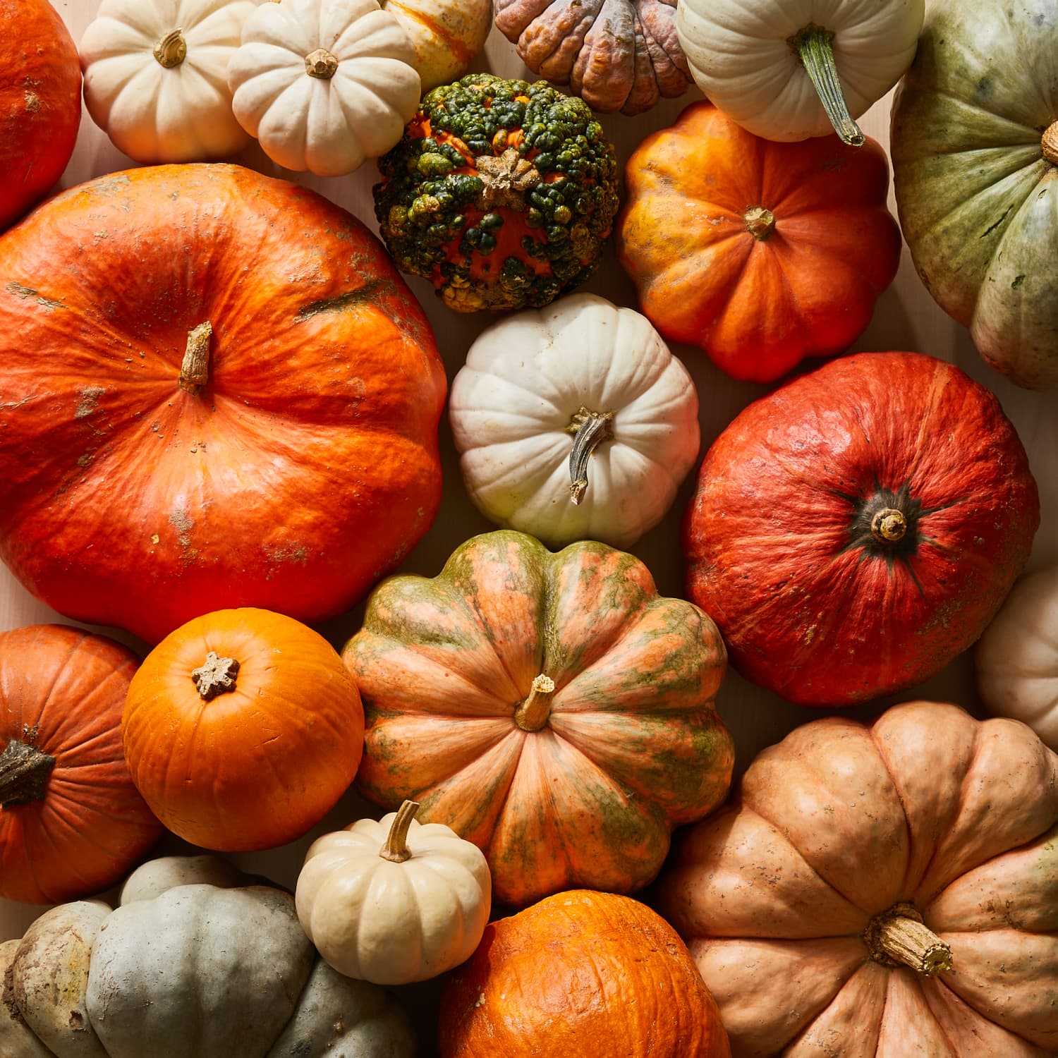 Types of Pumpkins | The Kitchn