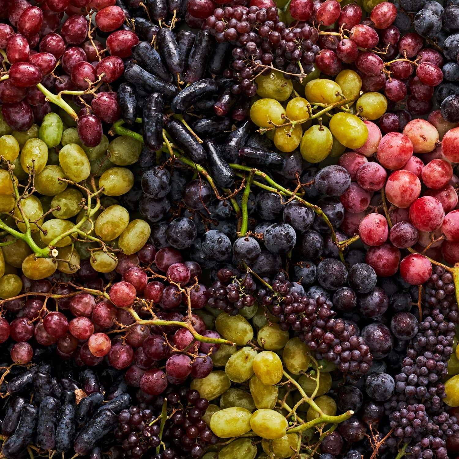 Different type shop of grapes