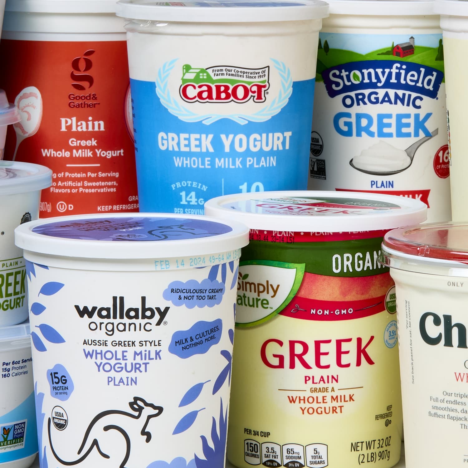 What is the best yogurt for dogs discount